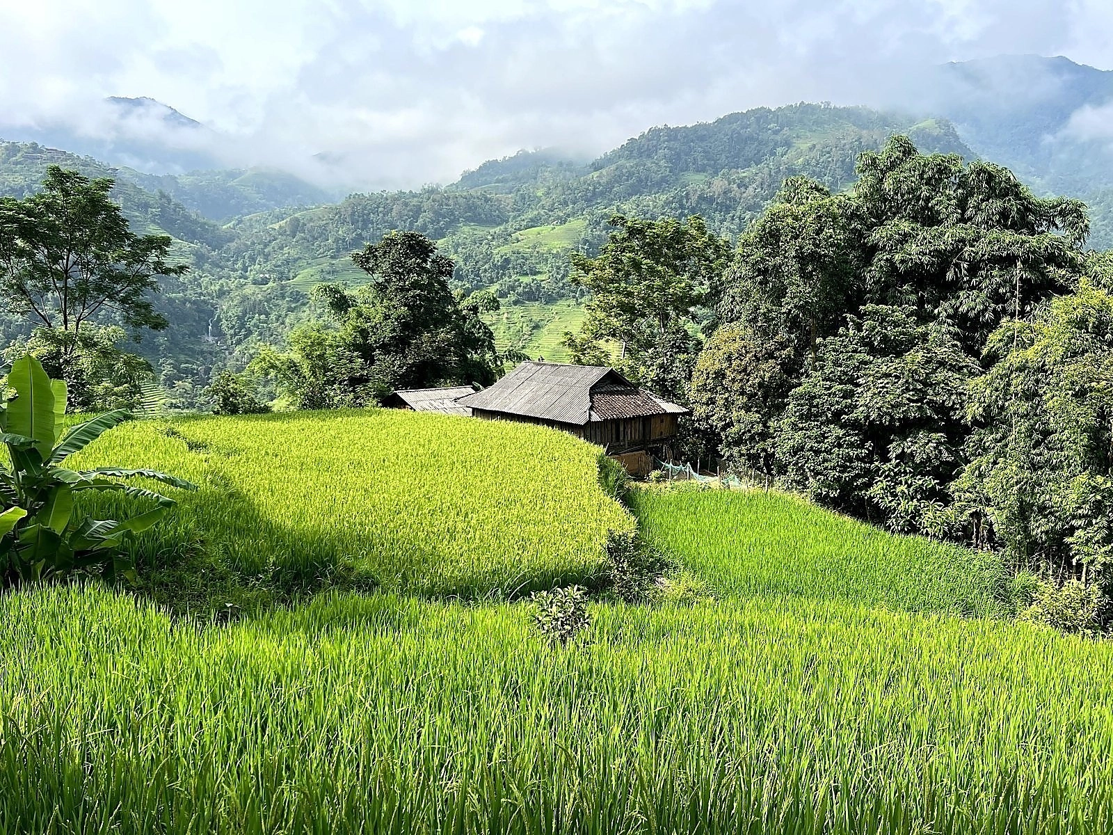 Vietnam Express Tour-mu-cang-chai-40