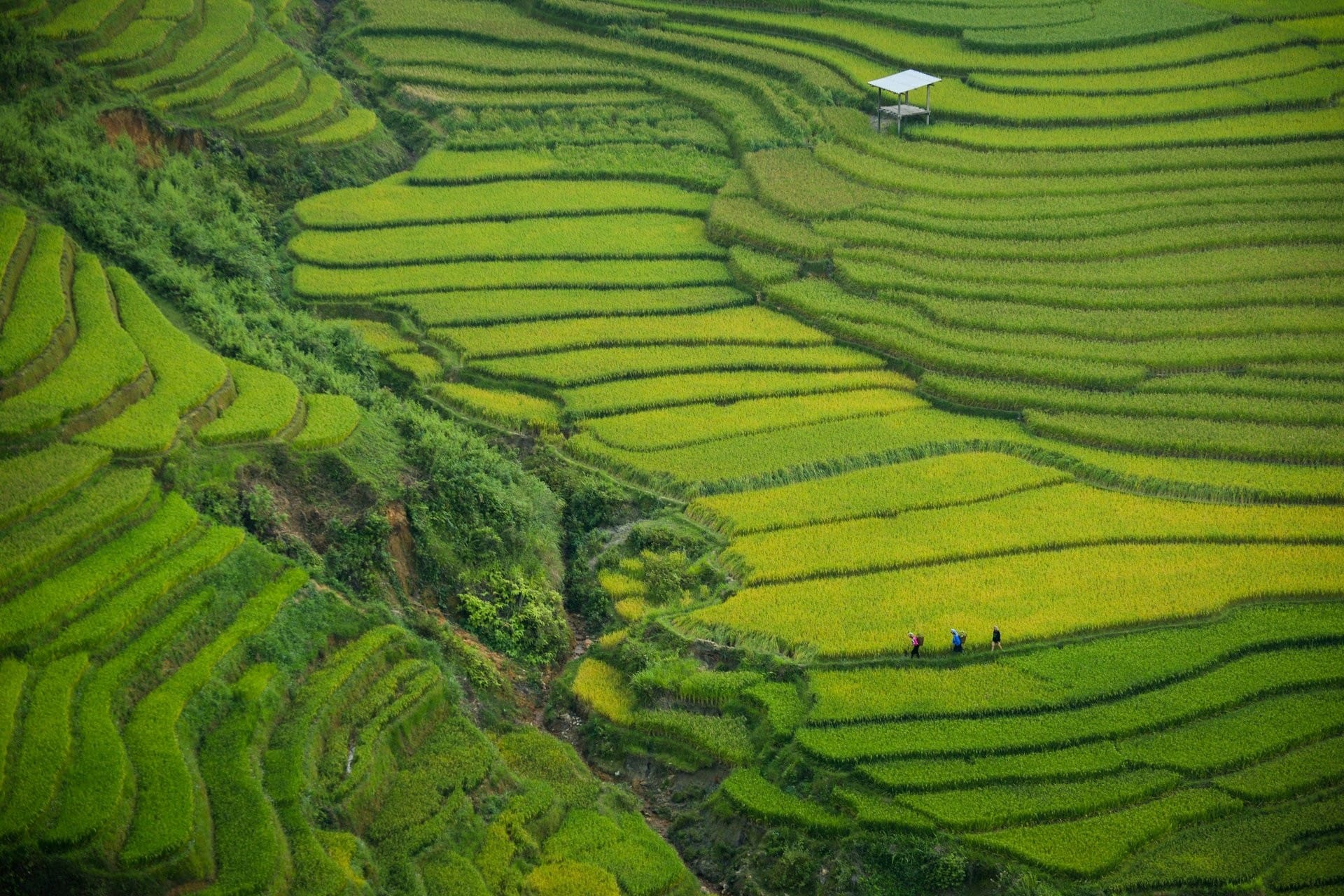 Itinerary photo 1