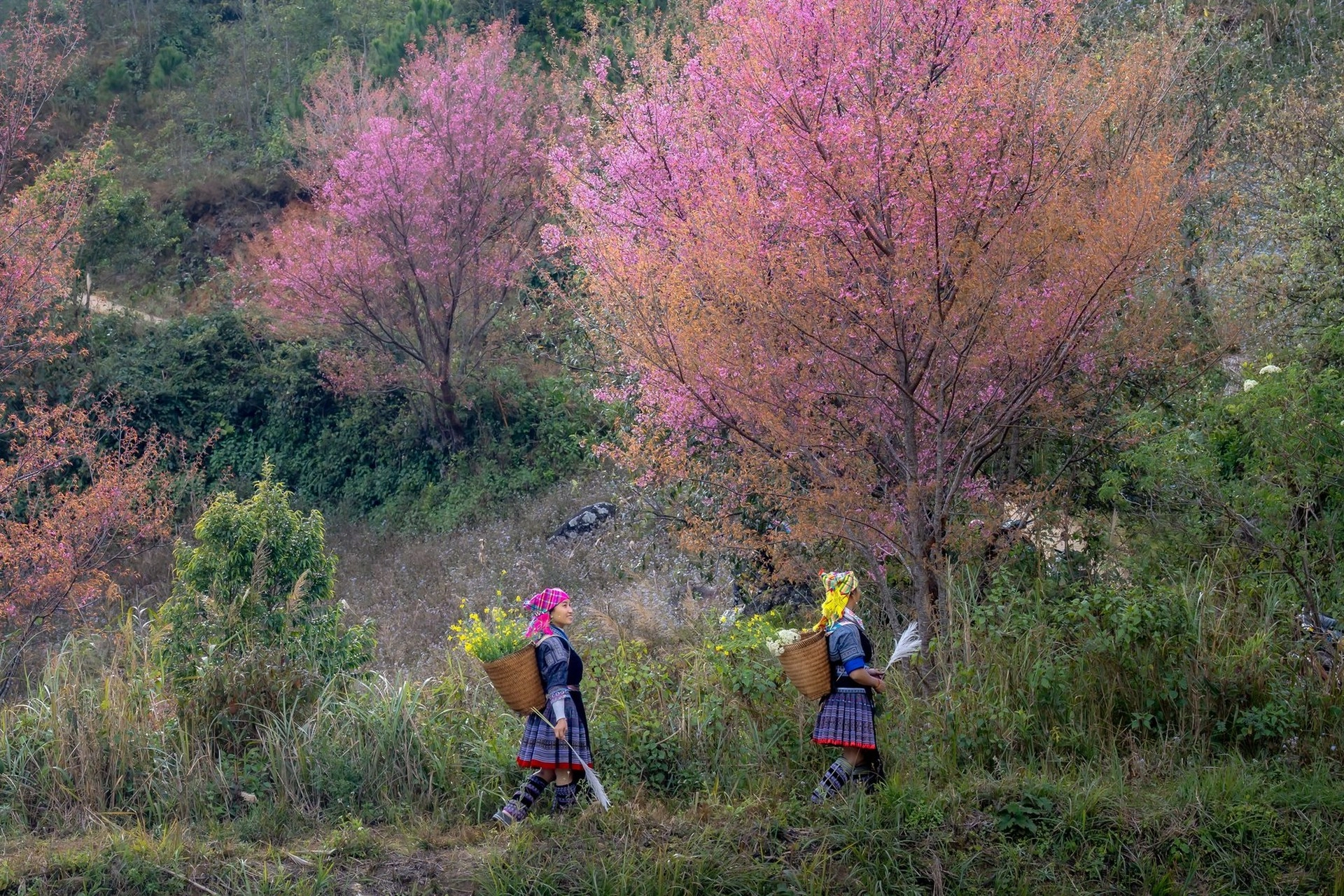 Sapa Authentic Gateway
