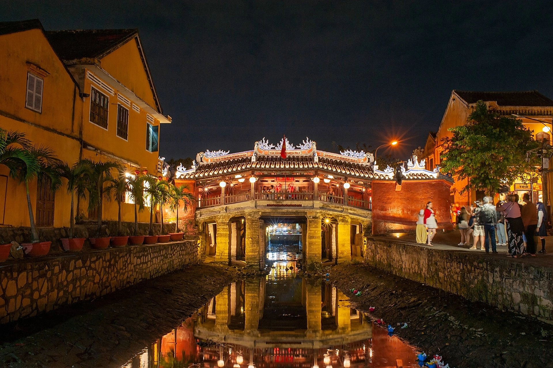 Coconut Forest & Hoi An Lantern Evening Tour