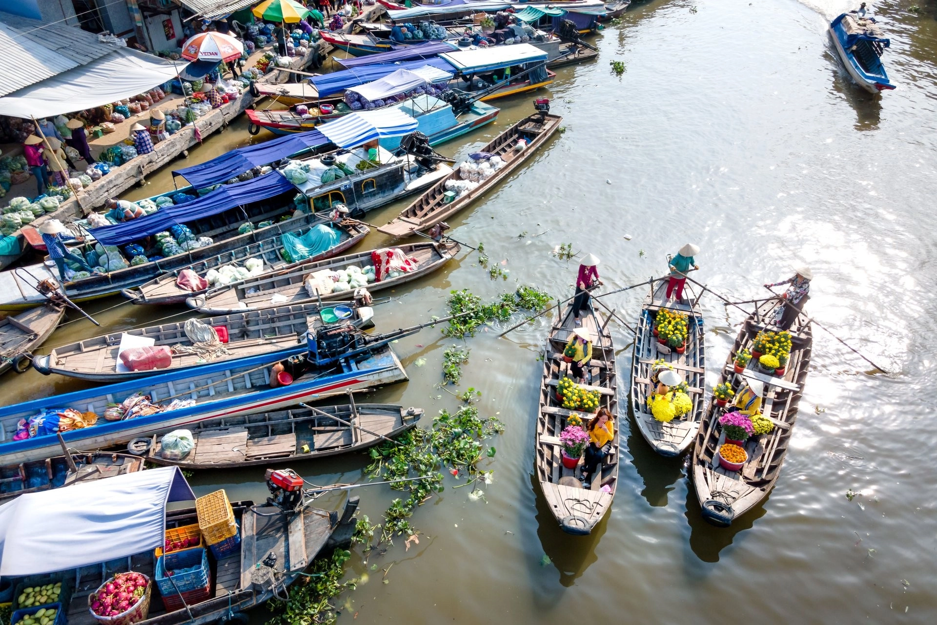Vietnam Express Tour-mekong-delta-10
