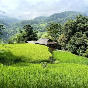 Vietnam Express Tour-mu-cang-chai-40