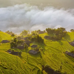 Vietnam Express Tour-mu-cang-chai-44