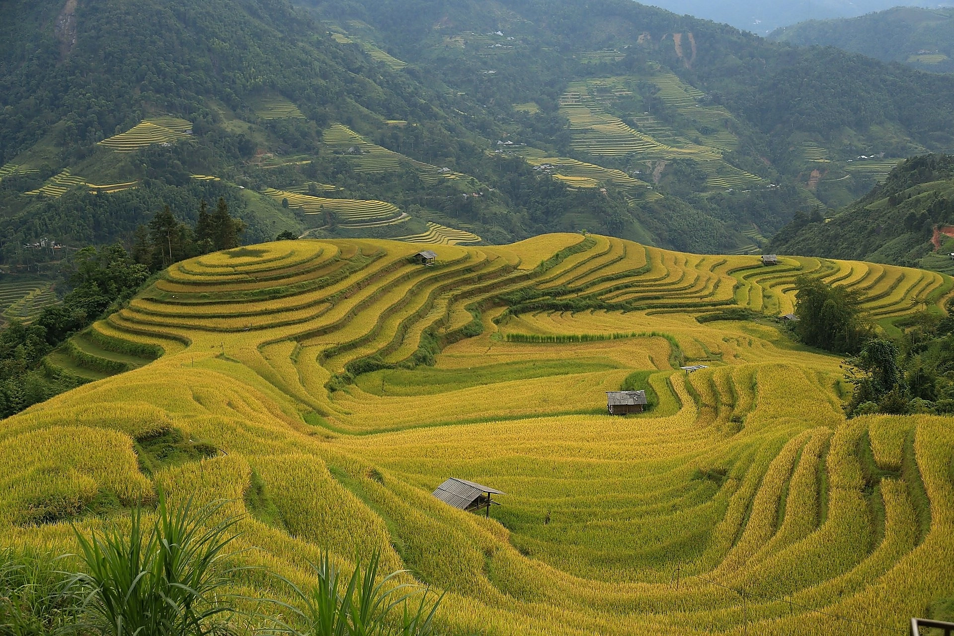 Vietnam Express Tour-mu-cang-chai-07