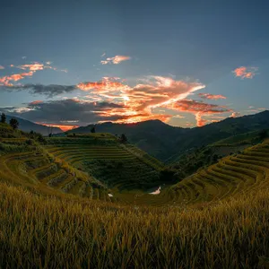 Vietnam Express Tour-mu-cang-chai-06