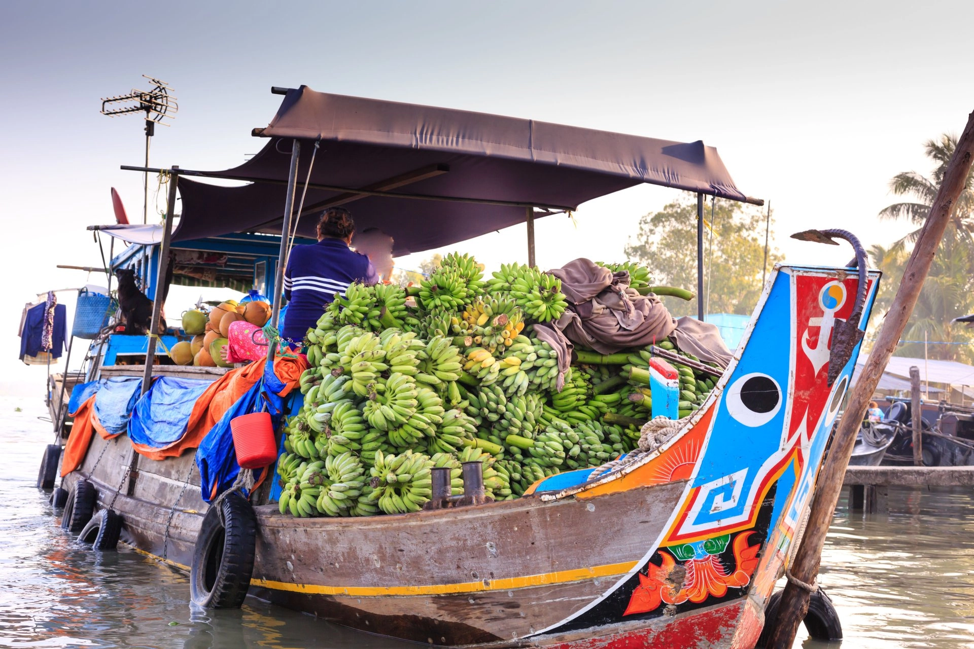 Vietnam Express Tour-mekong-delta-06