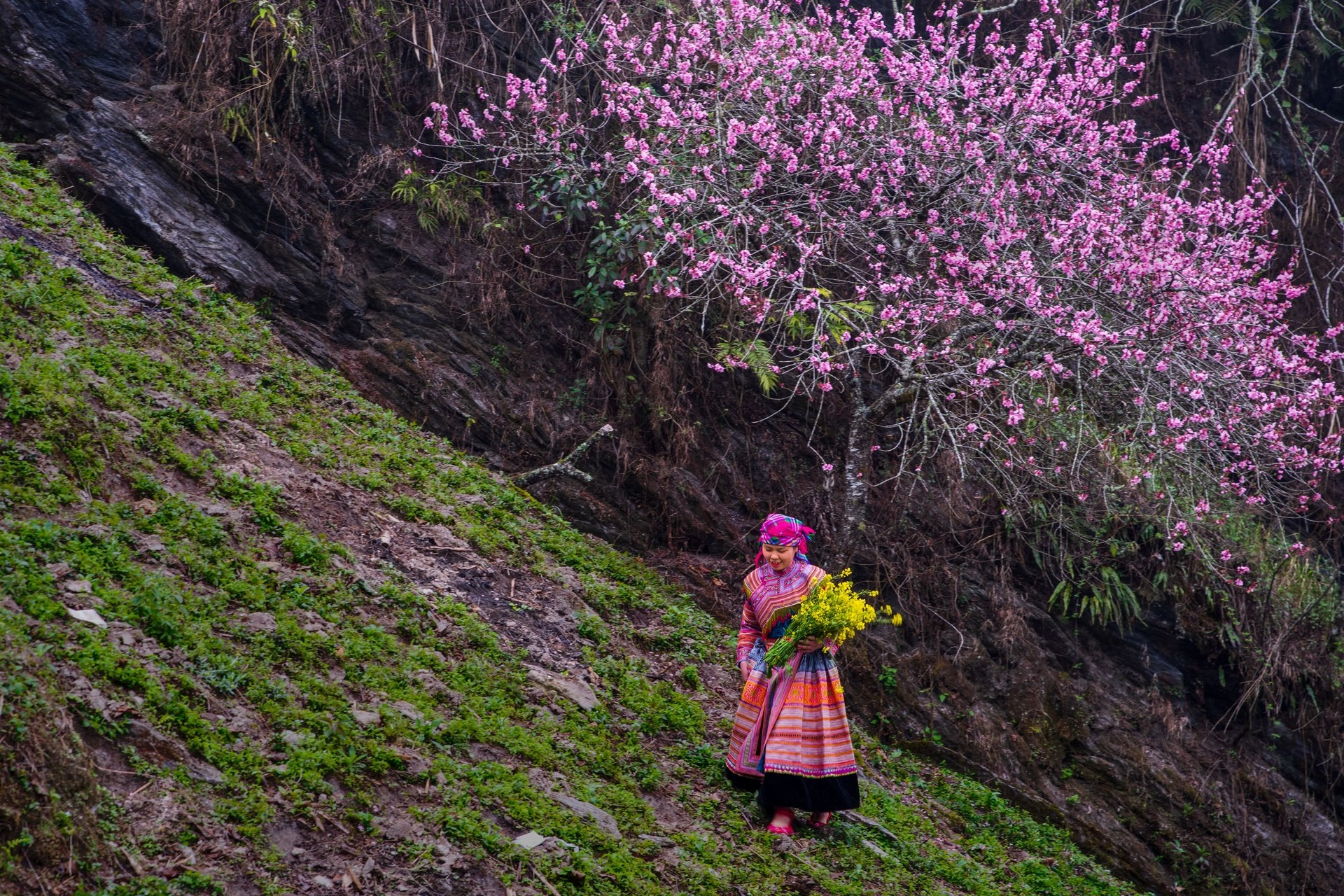 Vietnam Express Tour-mu-cang-chai-10