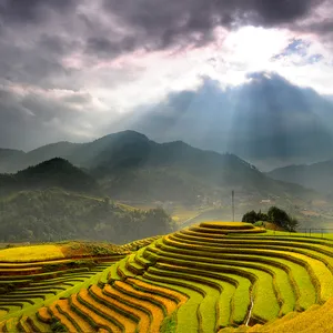 Vietnam Express Tour-mu-cang-chai-39
