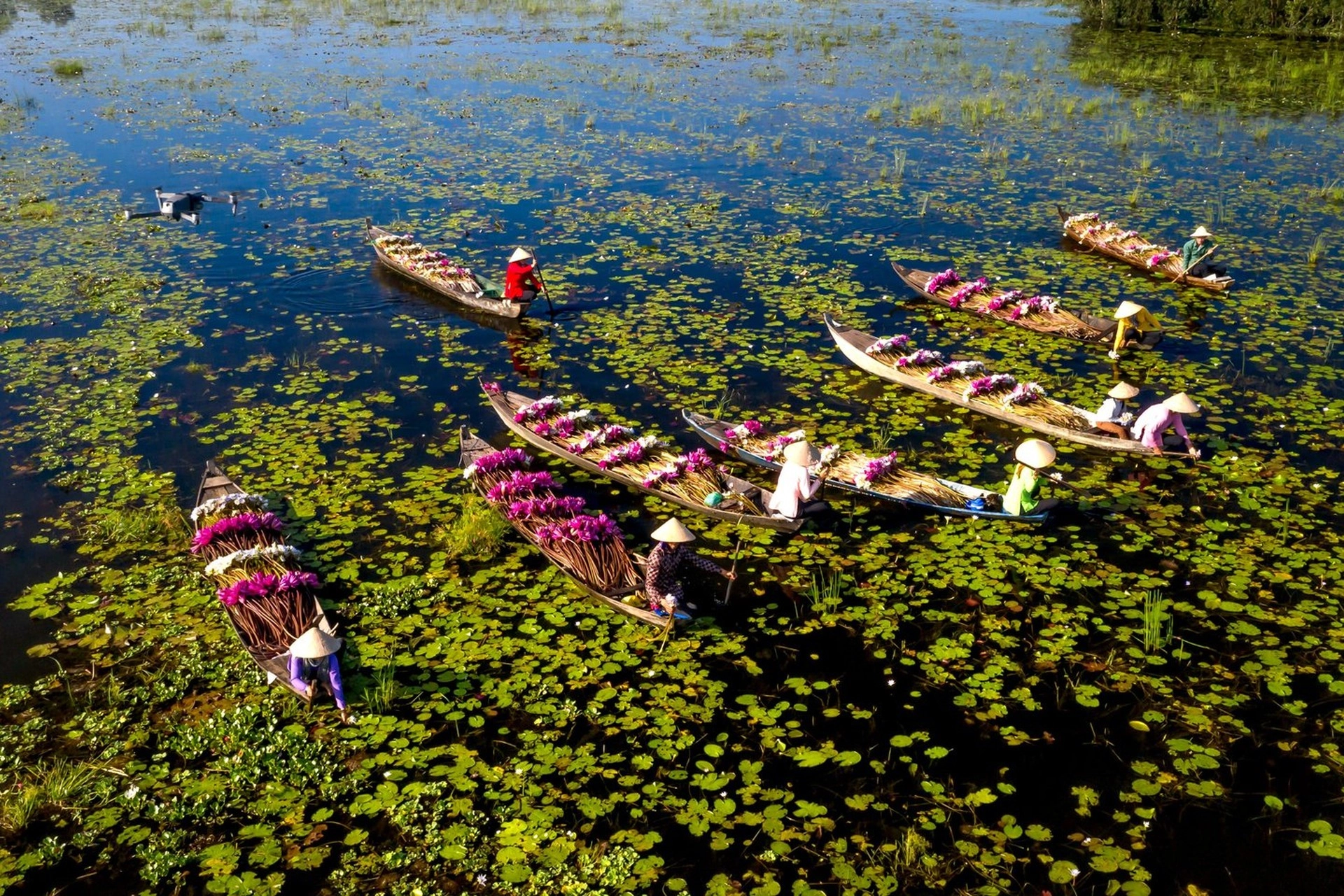 Mekong Delta River Discovery - 3 Days