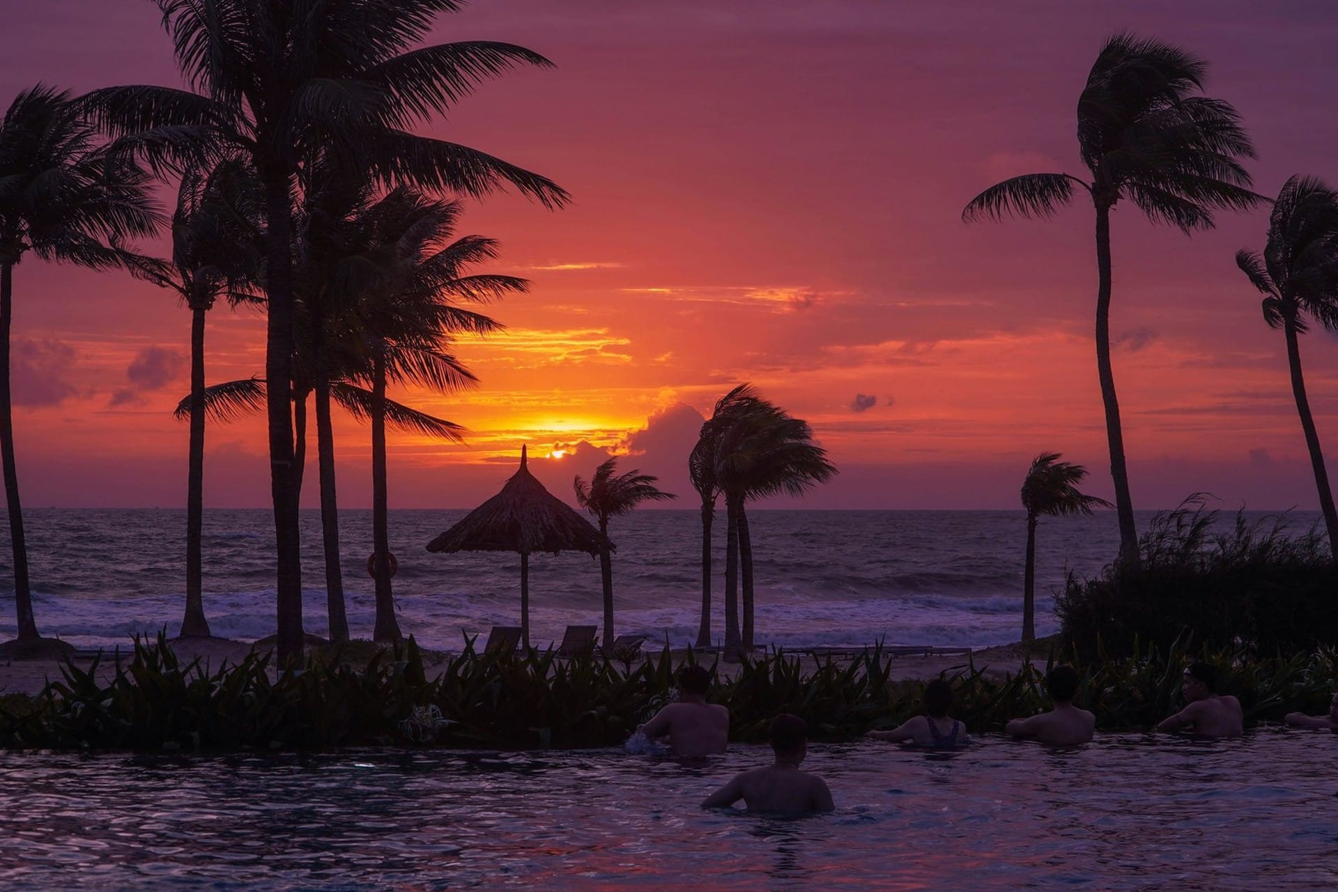Vietnam Honeymoon Tour 2026: Where, When, How to Plan