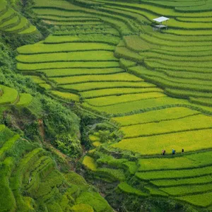 Vietnam Express Tour-sapa-51