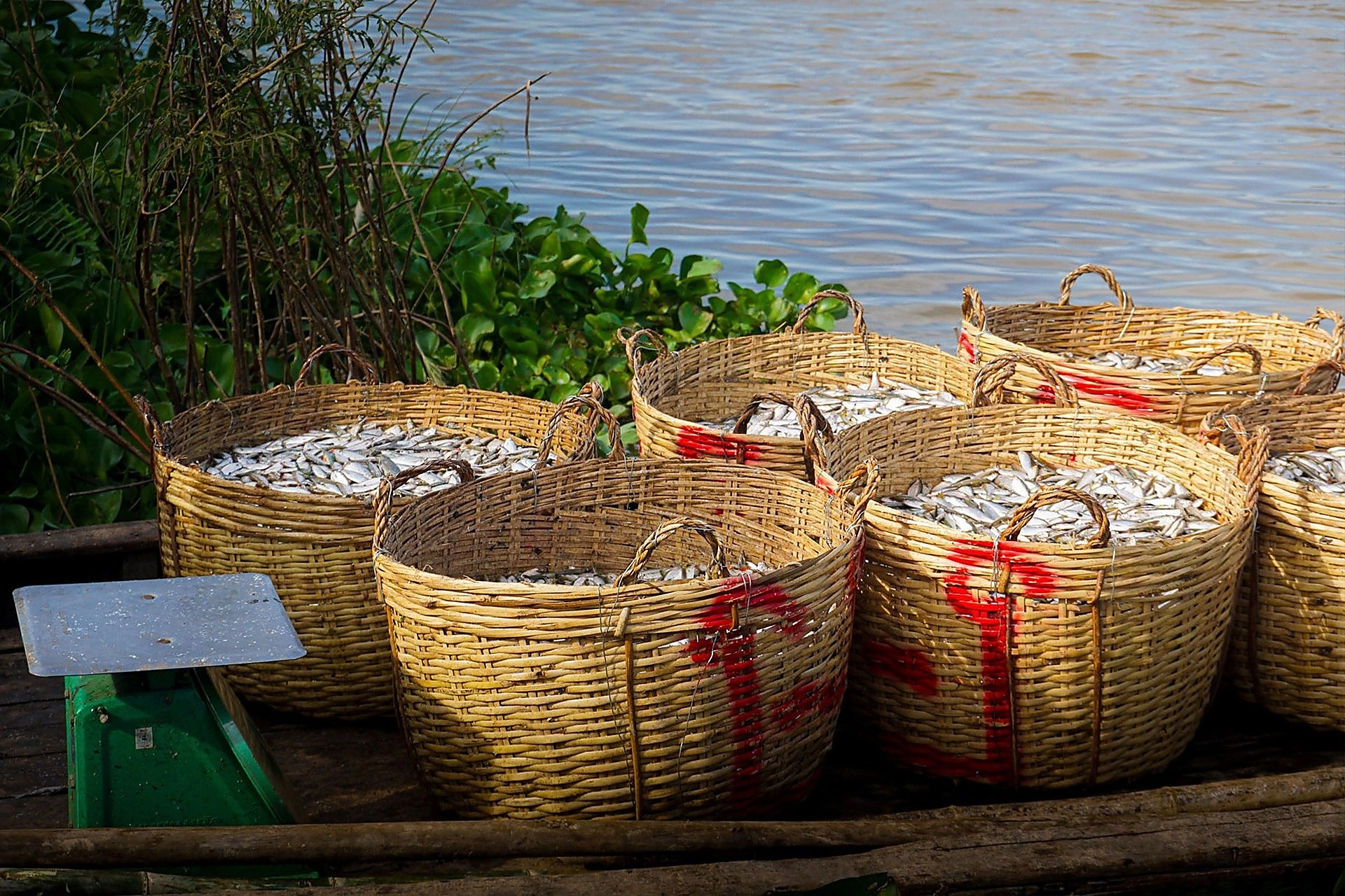 Vietnam Express Tour-mekong-delta-20