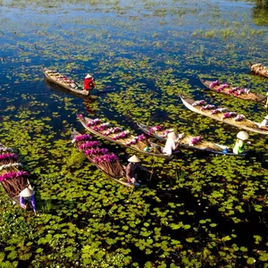 Vietnam Express Tour-mekong-delta-04