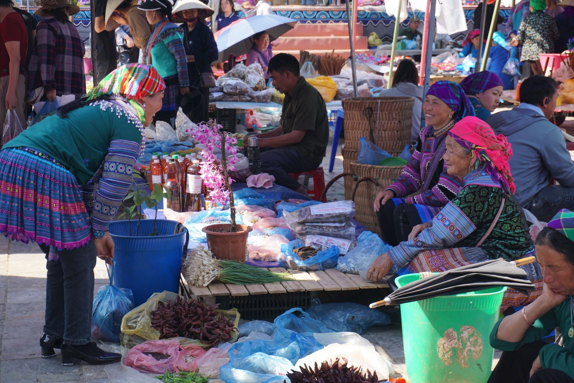 Mu Cang Chai, Bac Ha & Ha Long Bay
